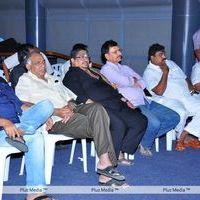 Simham Puli Audio Release Function - Pictures | Picture 110182